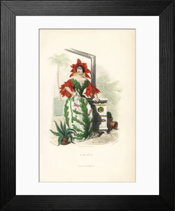 Framed Print : Cactus flower fairy in bonnet and sleeves of flowers Framed Print : Cactus flower fairy in bonnet and sleeves of flowers
