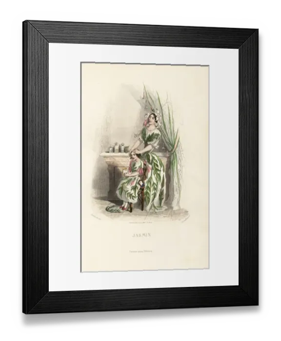 Framed Print : Jasmine flower fairy, Jasminum officinale Framed Print : Jasmine flower fairy, Jasminum officinale