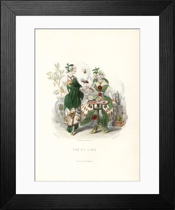 Framed Print : Tea and coffee flower fairies sharing beverages Framed Print : Tea and coffee flower fairies sharing beverages