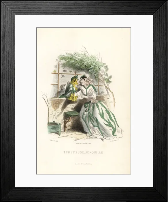 Framed Print : Tuberose and jonquil daffodil flower fairies Framed Print : Tuberose and jonquil daffodil flower fairies