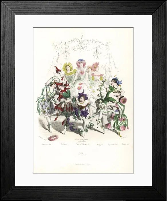 Framed Print : Flower fairy dancers at a ball Framed Print : Flower fairy dancers at a ball