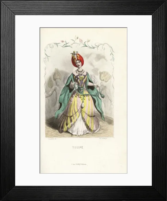 Framed Print : Tulip flower fairy in turban and dress of leaves and petals Framed Print : Tulip flower fairy in turban and dress of leaves and petals