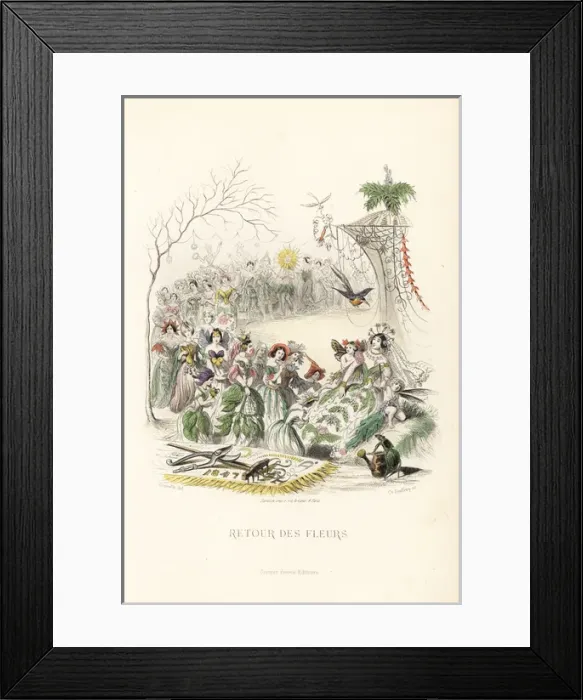 Framed Print : The return of the flower fairies Framed Print : The return of the flower fairies