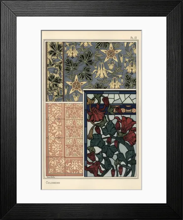 Framed Print : Columbine, Aquilegia vulgaris, flower in patterns Framed Print : Columbine, Aquilegia vulgaris, flower in patterns