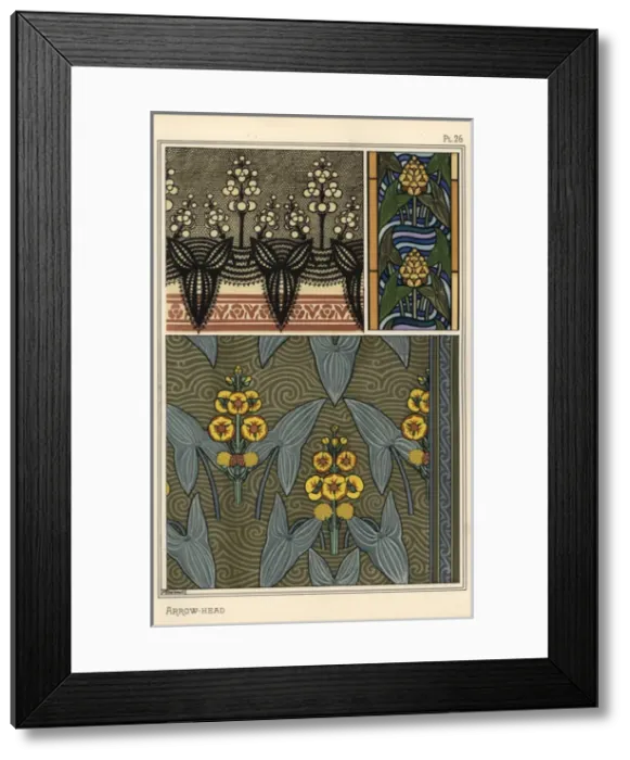 Framed Print : Arrowhead, Sagittaria sagittifolia, as a motif Framed Print : Arrowhead, Sagittaria sagittifolia, as a motif