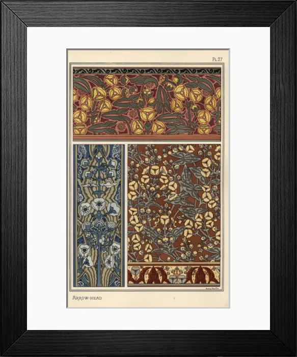 Framed Print : Arrowhead, Sagittaria sagittifolia, as a design Framed Print : Arrowhead, Sagittaria sagittifolia, as a design