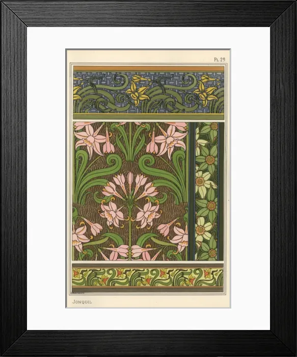 Framed Print : Jonquil, Narcissus jonquilla, as design motif Framed Print : Jonquil, Narcissus jonquilla, as design motif