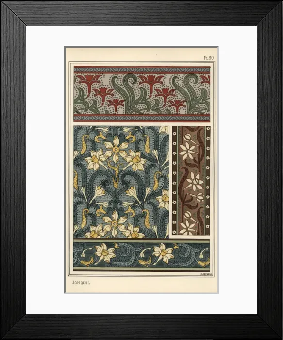 Framed Print : Jonquil, Narcissus jonquilla, as design motif Framed Print : Jonquil, Narcissus jonquilla, as design motif