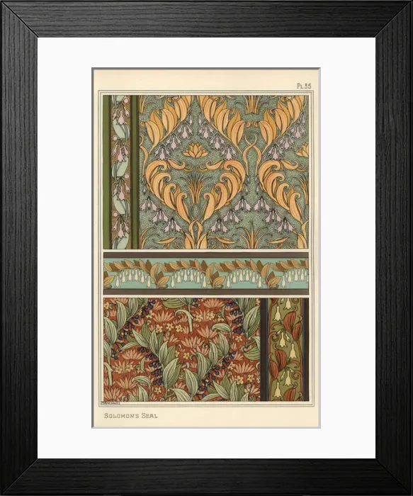 Framed Print : Solomons seal, Polygonatum multiflorum, as Framed Print : Solomons seal, Polygonatum multiflorum, as