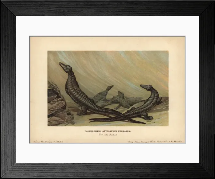 Framed Print : Aetosaurus, Panserechse, Aetosaurus ferratus Framed Print : Aetosaurus, Panserechse, Aetosaurus ferratus