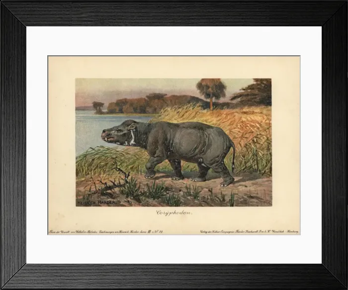 Framed Print : Coryphodon, extinct genus of pantodont mammal Framed Print : Coryphodon, extinct genus of pantodont mammal