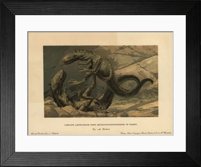 Framed Print : Dryptosaurus aquilunguis, extinct genus of Framed Print : Dryptosaurus aquilunguis, extinct genus of