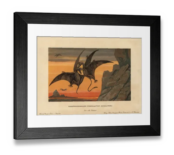 Framed Print : Pterodactylus, extinct genus of pterosaurs Framed Print : Pterodactylus, extinct genus of pterosaurs