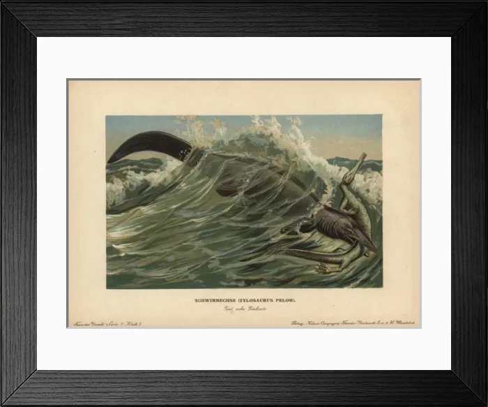 Framed Print : Tylosaurus pelor, a type of mosasaur, a large Framed Print : Tylosaurus pelor, a type of mosasaur, a large