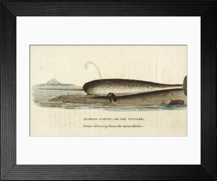 Framed Print : BAT Bantam I in original form with short-span ailerons