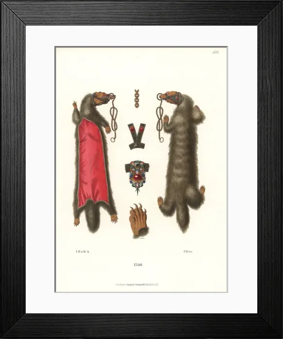 Framed Print : German womens jewelry from 1546 Framed Print : German womens jewelry from 1546