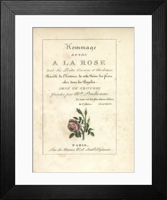 Framed Print : Calligraphic title page with vignette of a moss rose Framed Print : Calligraphic title page with vignette of a moss rose