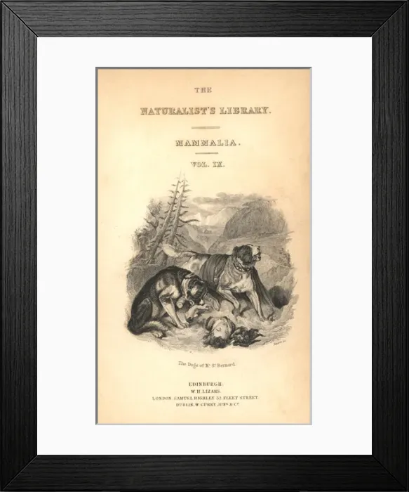Framed Print : Title page with vignette of St Bernard dogs Framed Print : Title page with vignette of St Bernard dogs