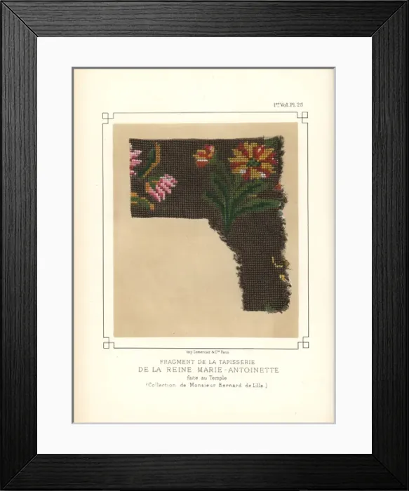 Framed Print : Fragment of a tapestry by Queen Marie Antoinette Framed Print : Fragment of a tapestry by Queen Marie Antoinette