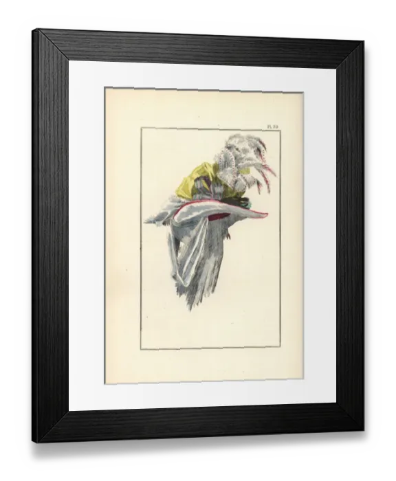 Framed Print : Hat in white taffeta trimmed with pink ribbon Framed Print : Hat in white taffeta trimmed with pink ribbon