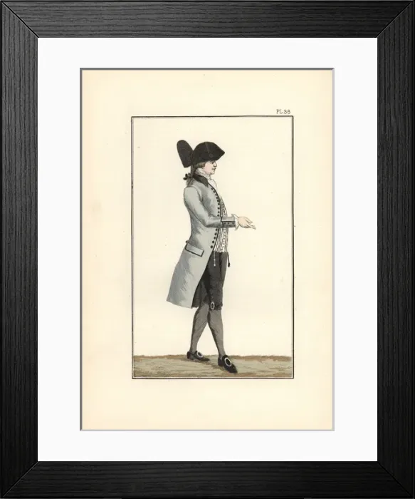 Framed Print : King Louis XVI in grey-white half-mourning clothes Framed Print : King Louis XVI in grey-white half-mourning clothes