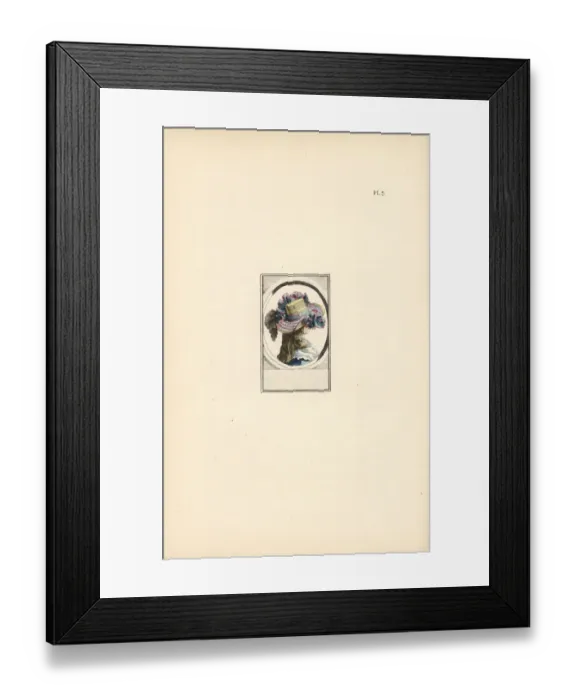 Framed Print : Cagliostro hat or the Queens necklace hat Framed Print : Cagliostro hat or the Queens necklace hat