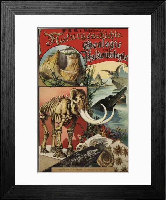 Framed Print : Title page with vignettes of dinosaurs, skeletons Framed Print : Title page with vignettes of dinosaurs, skeletons