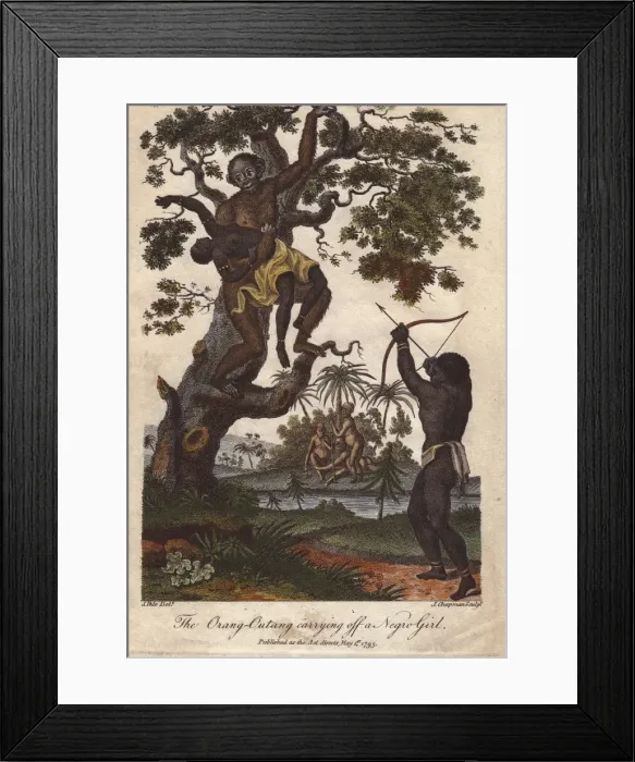 Framed Print : An orang utan (Pongo pygmaeus) kidnapping a young girl Framed Print : An orang utan (Pongo pygmaeus) kidnapping a young girl