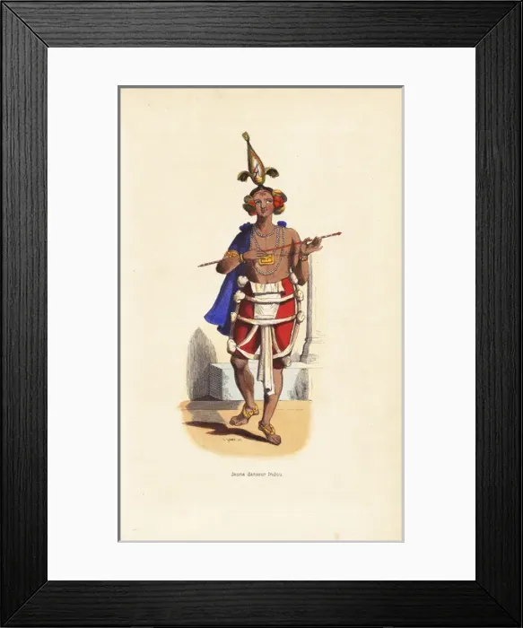 Framed Print : Young Indian dancer in bird headdress, cape Framed Print : Young Indian dancer in bird headdress, cape