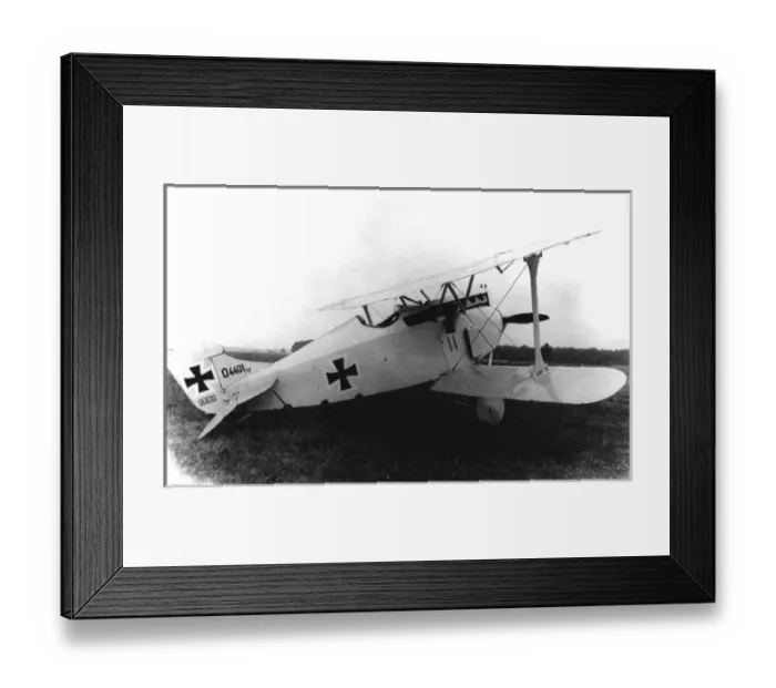 Framed Print : AEG DI (on the ground) of D4401-17 Framed Print : AEG DI (on the ground) of D4401-17