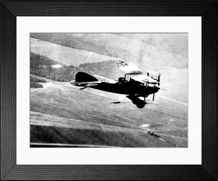 Framed Print : Albatros CVII flying Framed Print : Albatros CVII flying