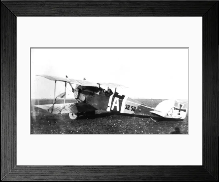 Framed Print : Berg DI as used by Austrias leading fighter ace, Frank Framed Print : Berg DI as used by Austrias leading fighter ace, Frank