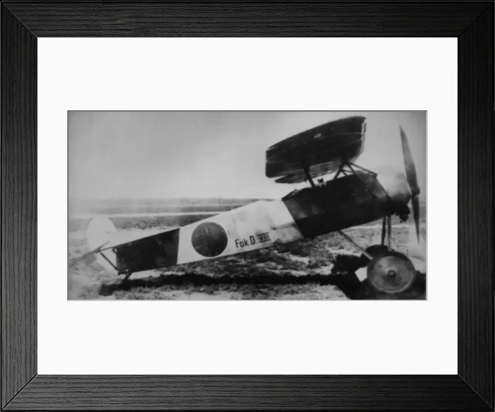 Framed Print : Fokker DVIII, (side view, on the ground) Framed Print : Fokker DVIII, (side view, on the ground)