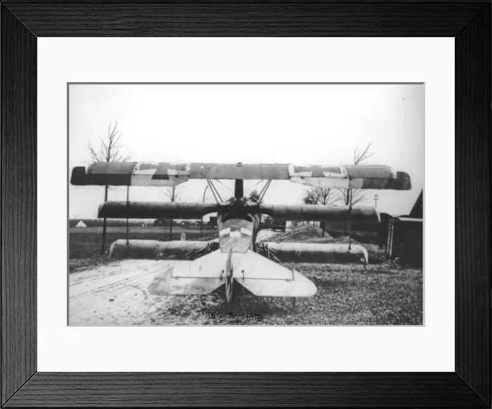 Framed Print : Fokker DrI, rear, (on the ground) Framed Print : Fokker DrI, rear, (on the ground)