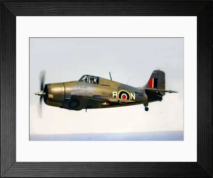 Framed Print : Grumman Marlet -flown by the Fleet Air Arm, this was th Framed Print : Grumman Marlet -flown by the Fleet Air Arm, this was th