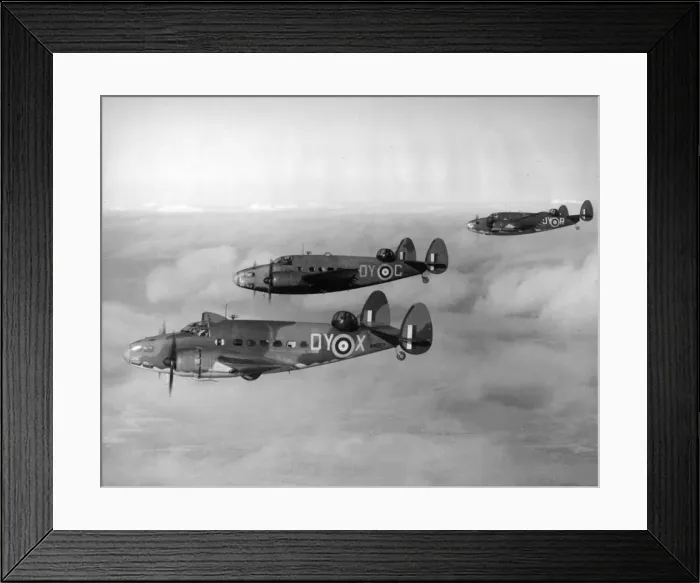 Framed Print : Lockheed Hudson V trio aloft of No48 Squadron RAF Framed Print : Lockheed Hudson V trio aloft of No48 Squadron RAF