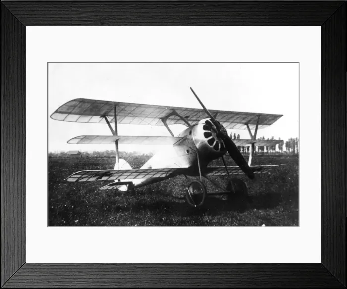 Framed Print : Pfalz Dr I German fighter triplane Framed Print : Pfalz Dr I German fighter triplane