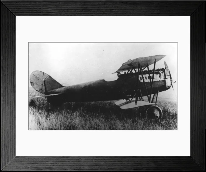 Framed Print : Pfalz D XV Framed Print : Pfalz D XV