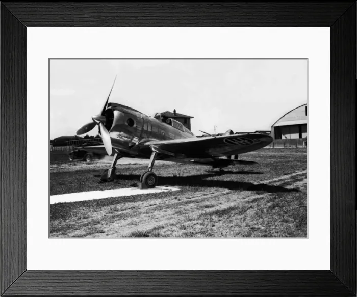 Framed Print : Reggiane Re2000 Falco Srs 3 -This Italian fighter was a Framed Print : Reggiane Re2000 Falco Srs 3 -This Italian fighter was a
