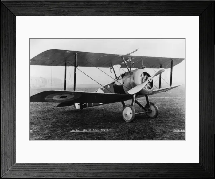 Framed Print : Sopwith 2F Camel fighter plane Framed Print : Sopwith 2F Camel fighter plane