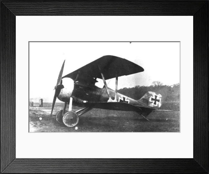 Framed Print : Siemens Schuckert DIII -only few of these impressive fa Framed Print : Siemens Schuckert DIII -only few of these impressive fa