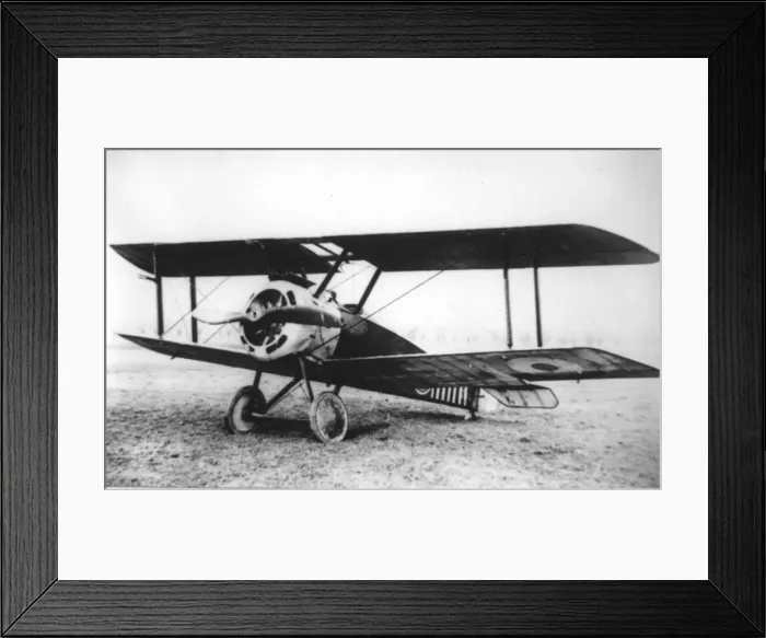 Framed Print : Sopwith 1F Camel single-seater Framed Print : Sopwith 1F Camel single-seater