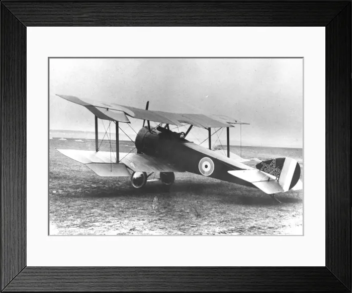 Framed Print : Sopwith Pup single-seat fighter Framed Print : Sopwith Pup single-seat fighter