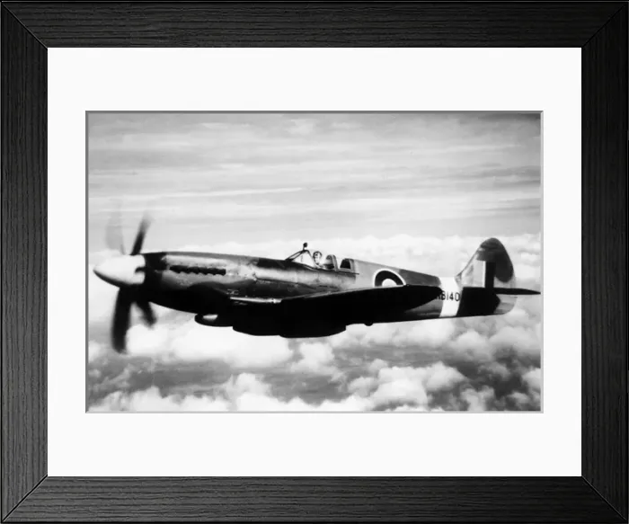 Framed Print : Supermarine Spitfire XIV (forward view) aloft Framed Print : Supermarine Spitfire XIV (forward view) aloft