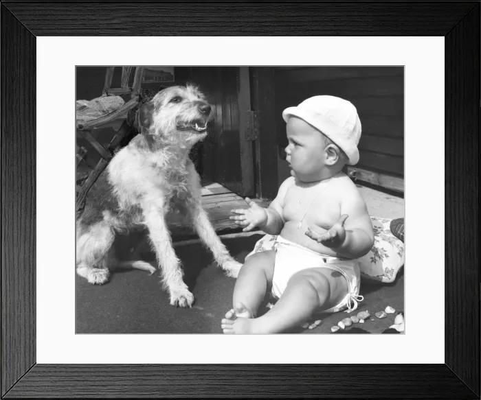 Framed Print : Baby at seaside with dog Framed Print : Baby at seaside with dog