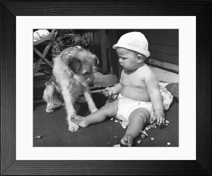Framed Print : Baby at seaside with dog Framed Print : Baby at seaside with dog