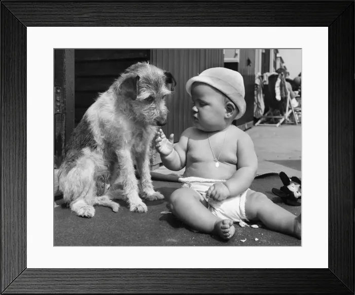 Framed Print : Baby at seaside with dog