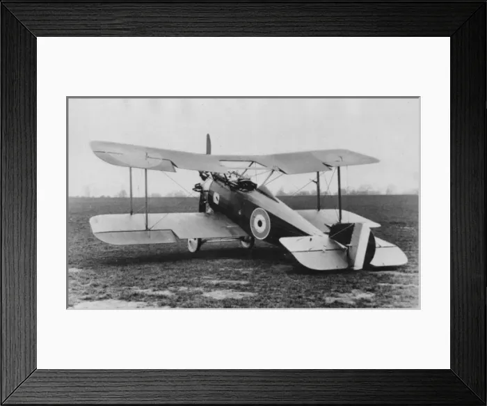 Framed Print : Westland Wagtail -unfortunately, as with other types de Framed Print : Westland Wagtail -unfortunately, as with other types de