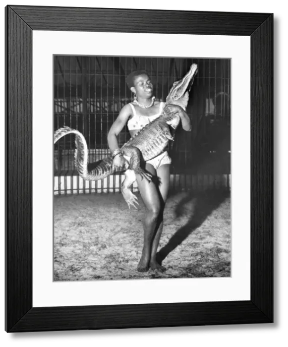 Framed Print : Woman with alligator, Chipperfields Circus Framed Print : Woman with alligator, Chipperfields Circus