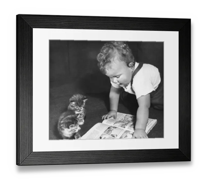 Framed Print : Toddler and kittens reading a picture book Framed Print : Toddler and kittens reading a picture book